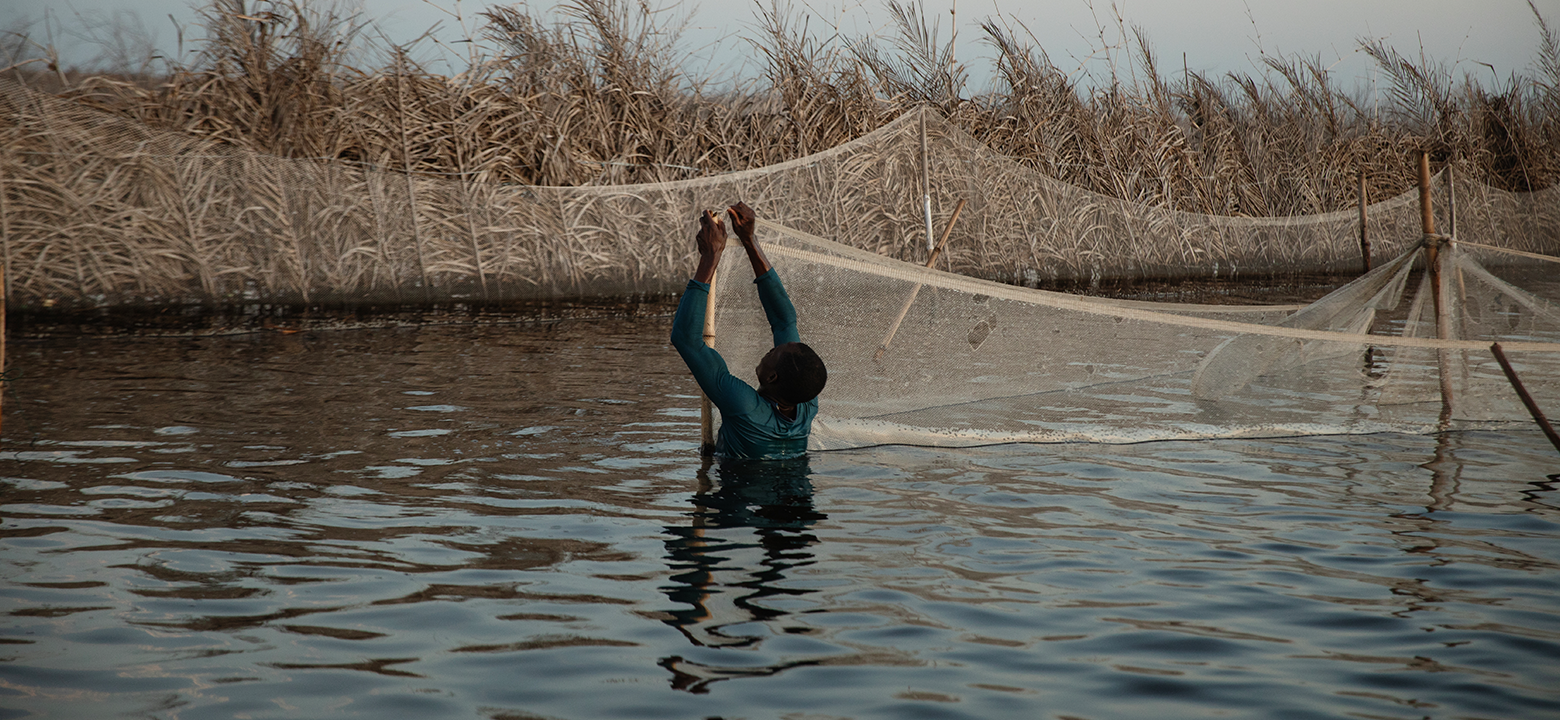Blaise Houekin, a 41-year-old fisherman from Ganvie, Benin, maintains his family's innovative fish farm among stilt structures. Credit: Malin Fezehai for National Geographic